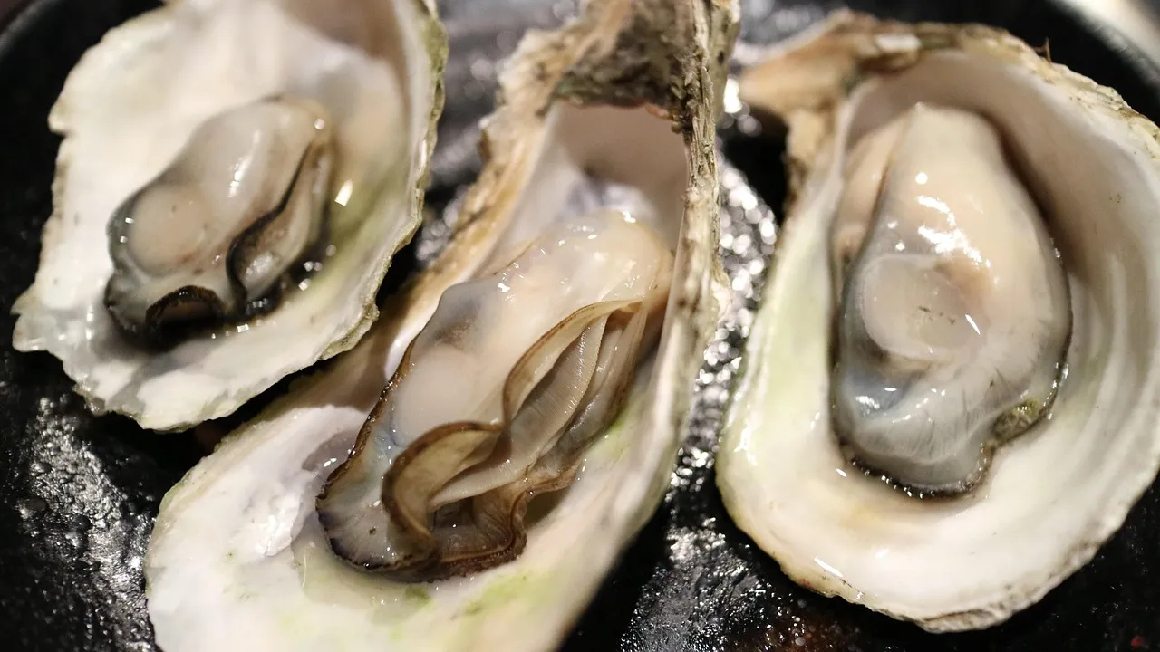 Are Dried Scallops a Healthy Source of Vitamin E?