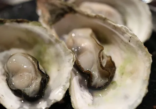 Everything You Need to Know About Dried Scallops