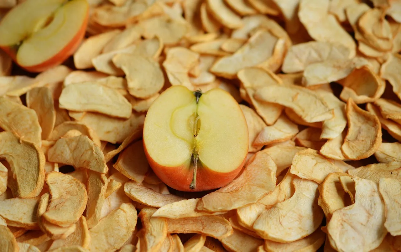 Are Dried Scallops a Healthy Source of Protein?
