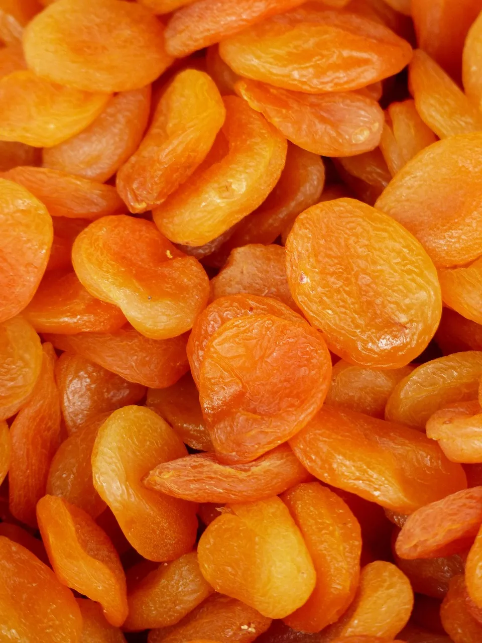 Fiber Content in Dried Scallops: What You Need to Know