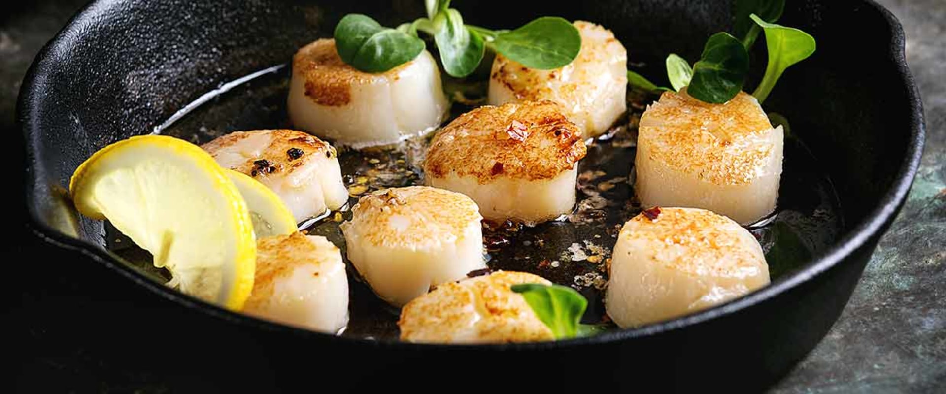 Are Dried Scallops a Nutritious Source of Riboflavin?
