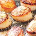 Are Dried Scallops a Nutritional Powerhouse?