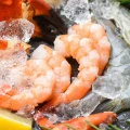 Are Dried Scallops a Nutritious Source of Riboflavin?